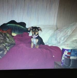 Meet your Posher, Robert